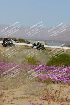 media/Feb-04-2023-SoCal Trackdays (Sat) [[8a776bf2c3]]/Turn 15 Inside Blooming (1050am)/